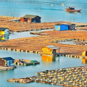 4 Days Xiapu Mudflat Photo Tour