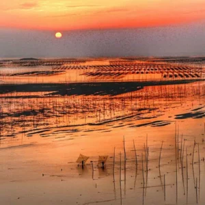 4 Days Xiapu Mudflat Photo Tour