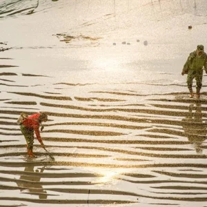 4 Days Xiapu Mudflat Photo Tour