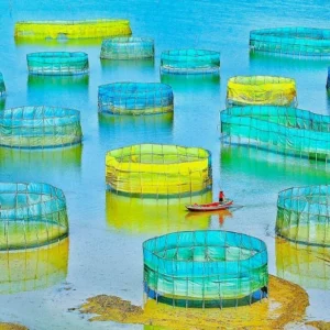 4 Days Xiapu Mudflat Photo Tour