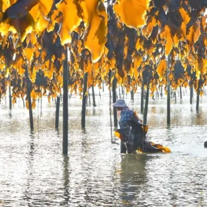 4 Days Xiapu Mudflat Photo Tour