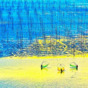4 Days Xiapu Mudflat Photo Tour