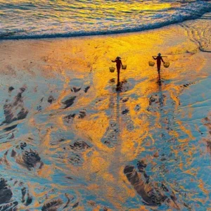 4 Days Xiapu Mudflat Photo Tour