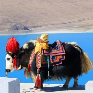 5 Days Classic Lhasa Group Tour with Yamdrok Lake