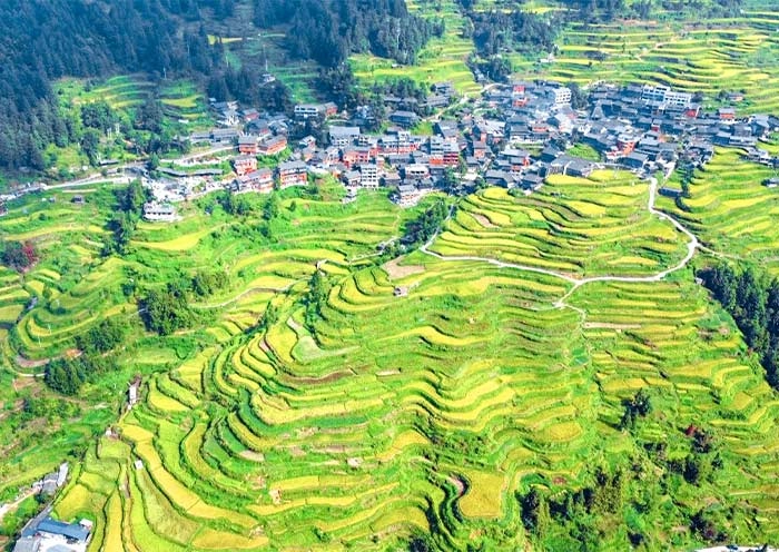 5 Days Guizhou Ethnic Tour: Miao and Dong Villages in Qiandongnan