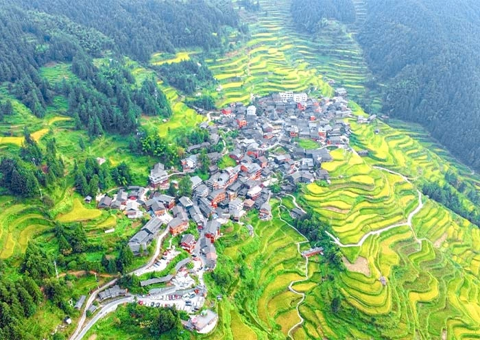 5 Days Guizhou Ethnic Tour: Miao and Dong Villages in Qiandongnan