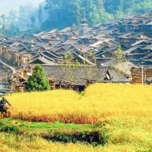 5 Days Guizhou Ethnic Tour: Miao and Dong Villages in Qiandongnan