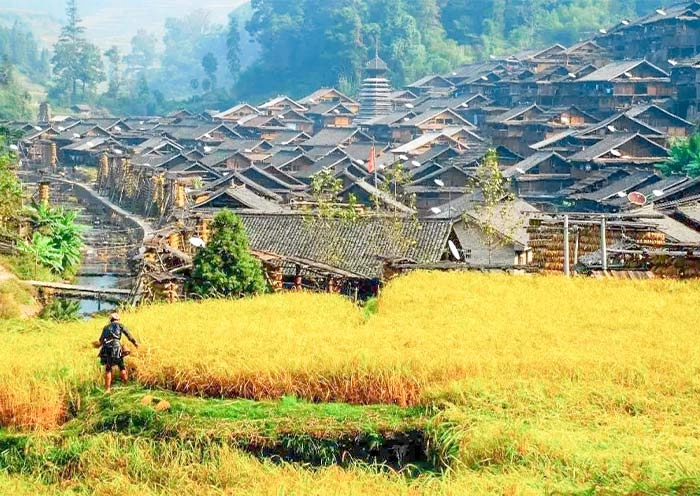 5 Days Guizhou Ethnic Tour: Miao and Dong Villages in Qiandongnan