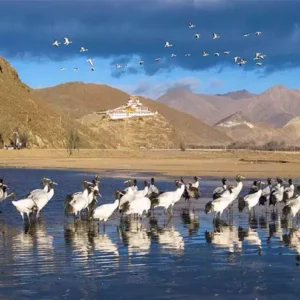 5 Days Lhasa Winter Tour Bird Watching