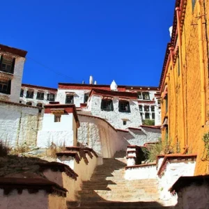 5 Days Lhasa Winter Tour Bird Watching