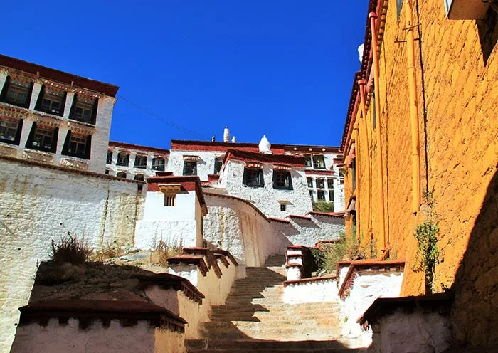 5 Days Lhasa Winter Tour Bird Watching