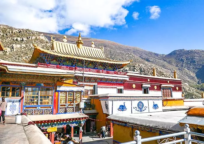 5 Days Lhasa Winter Tour Bird Watching
