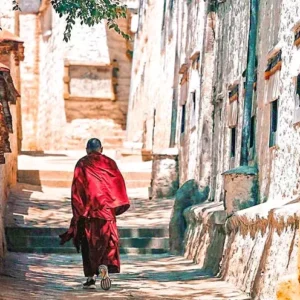 5 Days Lhasa Winter Tour Bird Watching