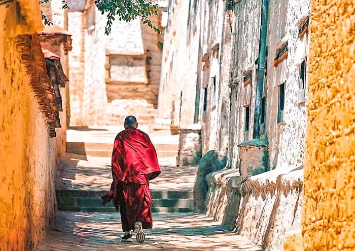 5 Days Lhasa Winter Tour Bird Watching