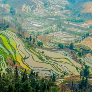 6 Days Yuanyang Rice Terraces Tour - Kunming, Jianshui & Honghe Hani Minority