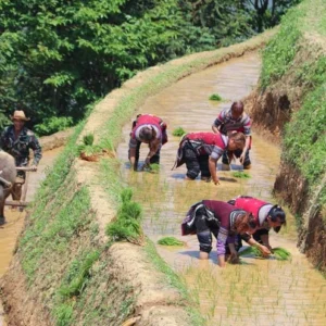 6 Days Yuanyang Rice Terraces Tour - Kunming, Jianshui & Honghe Hani Minority