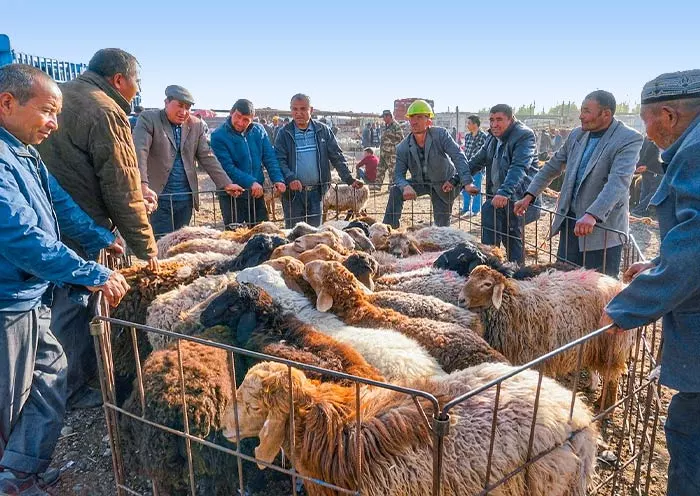 7 Days Classic Xinjiang Tour for First-Timers: Urumqi Tianchi Turpan Kashgar