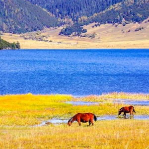 7 Days Yunnan Adventure: Dali Lijiang Shangri-La Tour