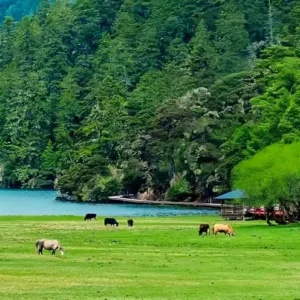 7 Days Yunnan Adventure: Dali Lijiang Shangri-La Tour