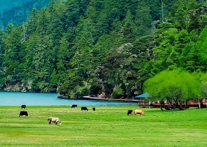 7 Days Yunnan Adventure: Dali Lijiang Shangri-La Tour