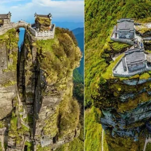 7 Days Zhangjiajie Fanjingshan Tour: Avatar Mountains and Sky Temples