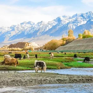 8 Days Xinjiang Culture & Nature Tour: Urumqi Tianchi Turpan Kashgar Tashkurgan