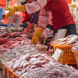 Xiamen Day Tour: Xiamen City Highlights & Gulangyu In-depth Exploration