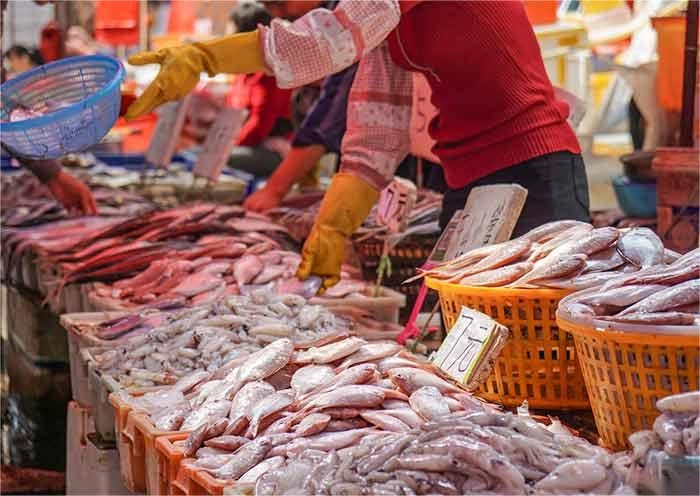 Xiamen Day Tour: Xiamen City Highlights & Gulangyu In-depth Exploration