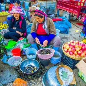 6 Days Yunnan's Best: Kunming Dali Lijiang Tour