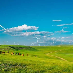 5 Days Classic Inner Mongolia Tour - Green Grassland & Golden Desert