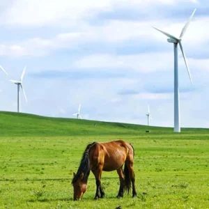 5 Days Classic Inner Mongolia Tour - Green Grassland & Golden Desert