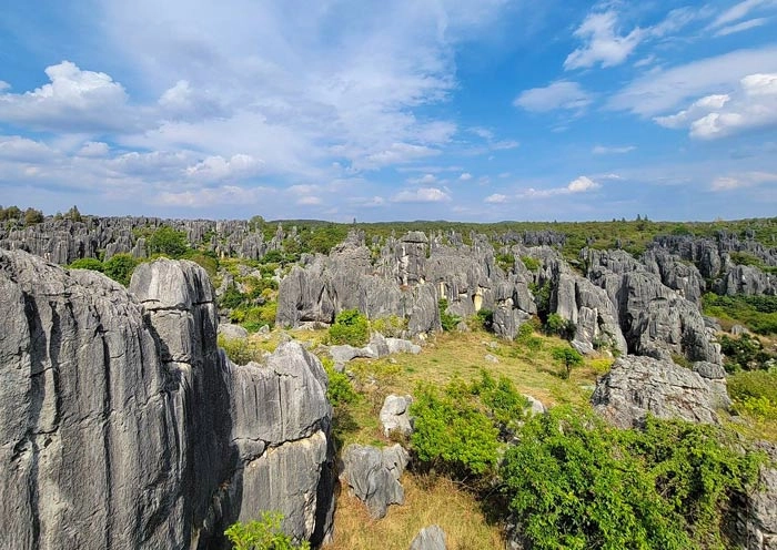 5 Days South Yunnan Tour: Kunming to Xishuangbanna by High Speed Train