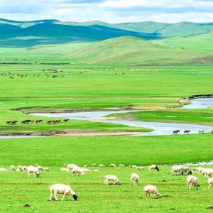 5 Days Hulunbuir Grassland Tour: Inner Mongolia Summer Vacation