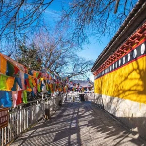 8 Days Lijiang Shangri-La Tour with Meili Snow Mountain with Sunrise Experience