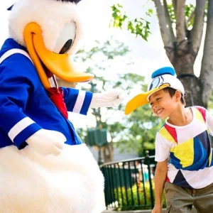 One Day Hong Kong Disneyland Tour: Family Vacation in HK (Tickets & Round-Trip Transfer Included)