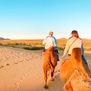 5 Days Central Mongolia Tour: National Parks, Gobi Desert, History & Culture