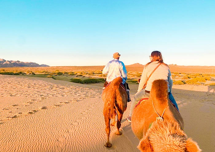5 Days Central Mongolia Tour: National Parks, Gobi Desert, History & Culture