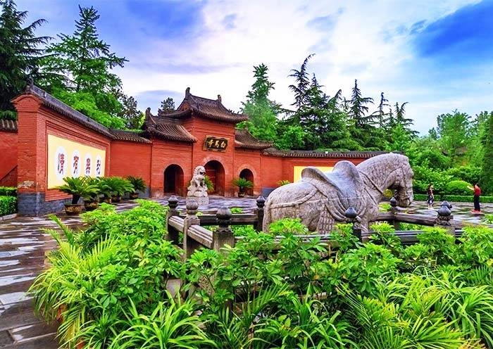 1 Day Longmen Grottoes Tour with White Horse Temple & Ancient Luoyang